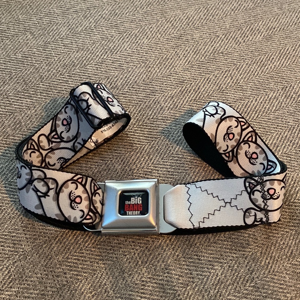 Big Bang Theory Buckle down belt